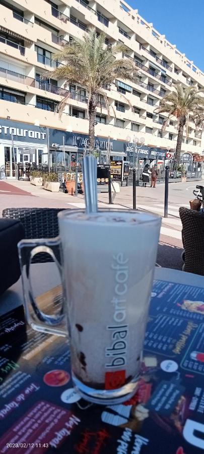 Le Liberte Plage Et Port Saint-Cyprien  Eksteriør billede
